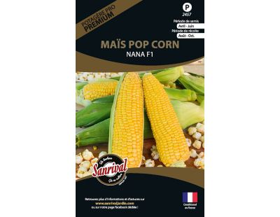 Graines potagères premium maïs (Pop corn)