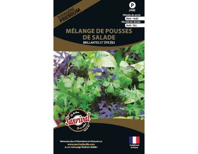 Graines potagères premium mélange de pousses de salade (Brillantes et épicées)