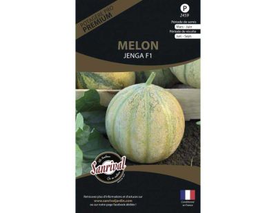 Graines potagères premium melon (Charentais Jenga)