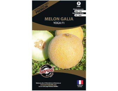 Graines potagères premium melon (Galia Yoga)