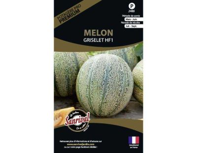 Graines potagères premium melon (Griselet)