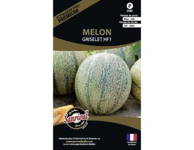 Graines potagères premium melon (Griselet)