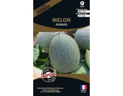 Graines potagères premium melon ananas