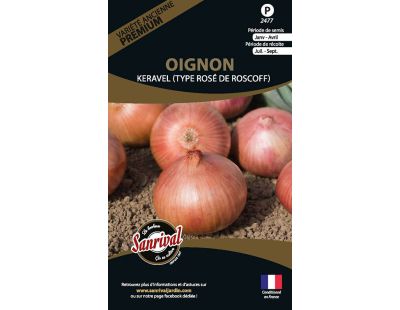 Graines potagères premium oignon (Keravel type Roscoff)