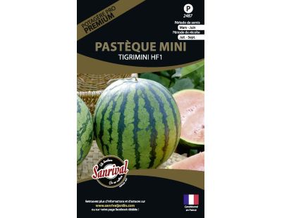 Graines potagères premium pastèque mini tigrimini