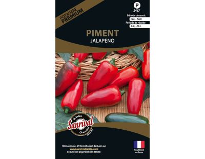 Graines potagères premium piment (Jalapeno)