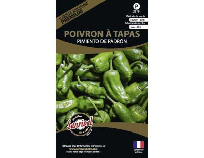 Graines potagères premium poivron (Padron spécial tapas)