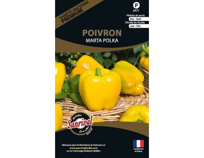 Graines potagères premium poivron (Polka)