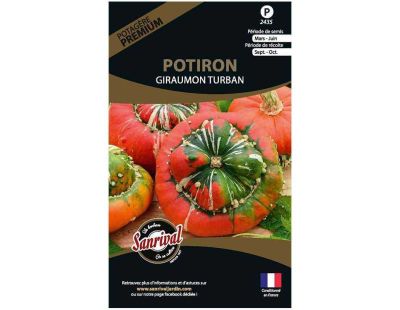 Graines potagères premium potiron (Giraumon turban)