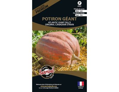 Graines potagères premium potiron (Géant)