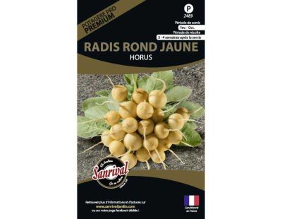 Graines potagères premium radis (Rond jaune Horus)