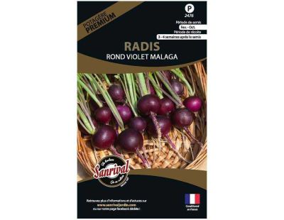 Graines potagères premium radis (Rond violet Malaga)