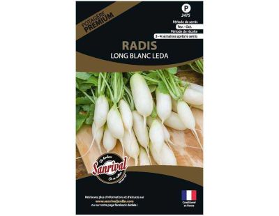 Graines potagères premium radis (Long blanc Leda)