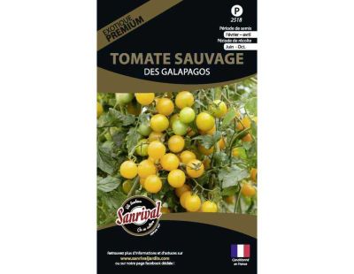 Graines potagères premium tomate (Des galapagos)