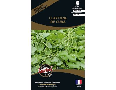 Graines potagères premium Claytone de Cuba