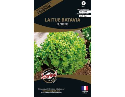 Graines potagères premium laitue (Batavia Florine)