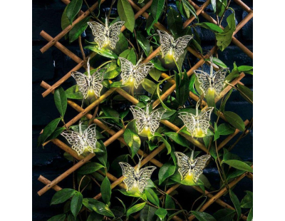 Guirlande led intérieur extérieur Judy