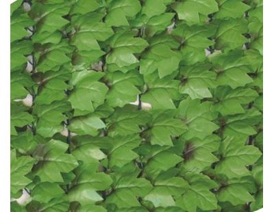 Haie artificielle jeunes feuilles de lierre en rouleau (1.5 x 3 m)