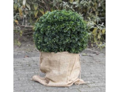 Housse d'hivernage en toile de jute