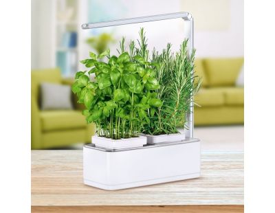 Jardinière avec lampe led intégrée Mini potager (+ engrais 1000 ml)