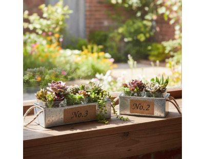 Jardinière en zinc avec pots en verre (34,5 cm)