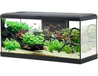 Kit aquarium Tana 84L (Noir)
