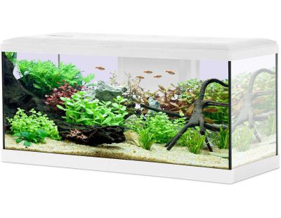 Kit aquarium Tana 84L (Blanc)