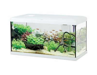Kit aquarium eau douce avec éclairage et filtres Initio 54 litres (Blanc)