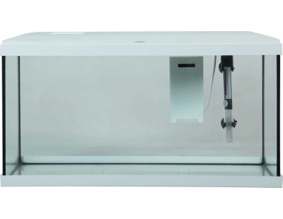 Kit aquarium eau douce avec éclairage et filtres Initio 54 litres (Blanc)