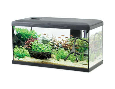 Kit aquarium eau douce avec éclairage et filtres Initio 54 litres (Noir)
