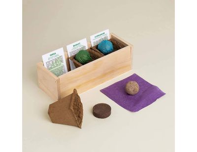 Kit d’auto-culture complet Culinaire (Gourmet)