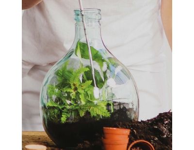 Kit terrarium végétal à faire soi-même DIY (5 litres)