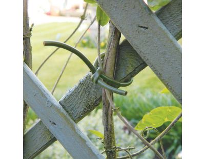 Lien d'attache en PVC pour plantes 60 m