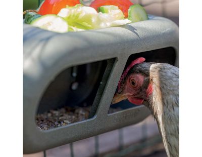 Mangeoire poules en plastique recyclé