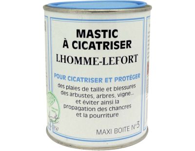 Mastic à cicatriser  des plais de tailles 500 g