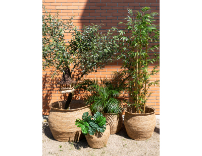 Maxi Cache-pots en jonc