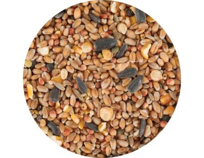 Mélange de graines pour oiseaux du jardin (2 kg)