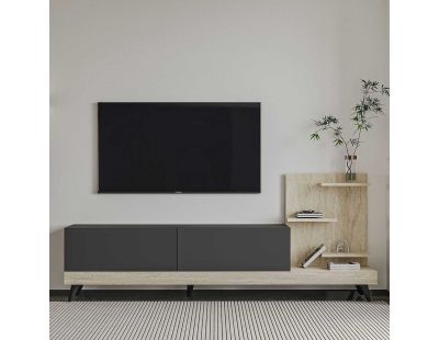 Meuble TV 2 portes avec étagères Dizayn