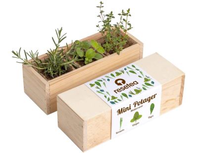 Mini potager d’herbes aromatiques (Méditérannée)