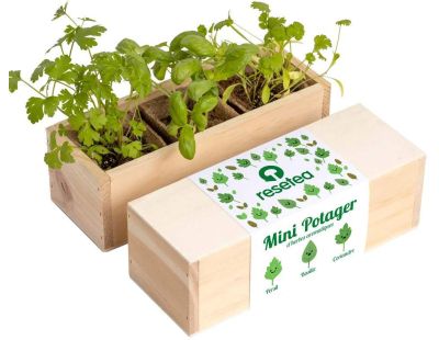 Mini potager d’herbes aromatiques (Herbes aromatiques)