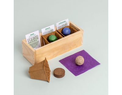 Mini potager d’herbes aromatiques (Herbes aromatiques)
