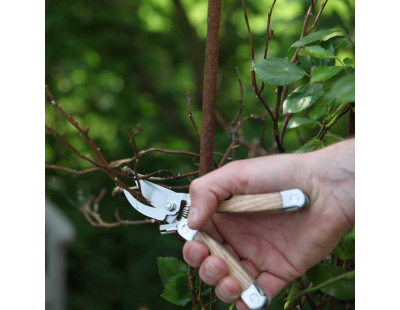 Multi-outils en acier inoxydable et bois de frêne