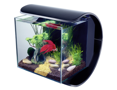 Nano aquarium design Tetra silhouette LED 12L