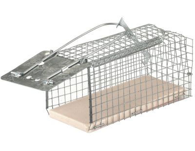 2P Piège À Souris Vivante, Attrape Souris Humain Et Réutilisables Avec Trou  D'Ai 7445033456449