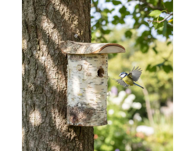 Nichoir pour mésange bleue en bois de bouleau