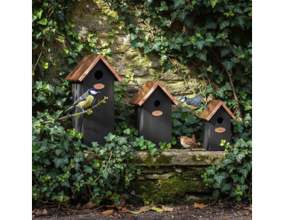 Nichoir à oiseaux en pin et cuivre (Mésange charbonnière)