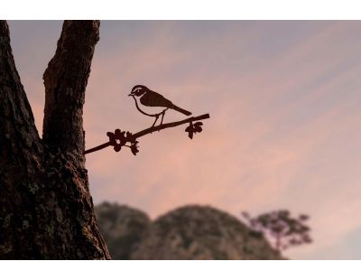 Oiseau sur pique pouillot des canaris en acier corten