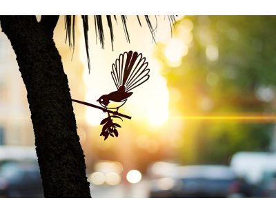 Oiseau sur pique rhipidura en acier corten