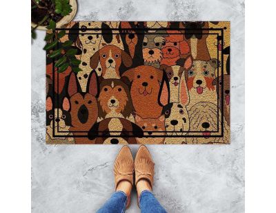 Paillasson en PVC 40 x 60 cm Door (Cane Carıno)