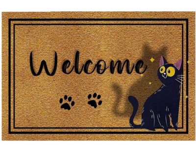 Paillasson en PVC 40 x 60 cm Door (Chat confus)